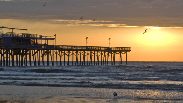 The “At Your Service” Galveston, TX DWI Lawyer Scientist