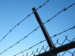 Synthetic Marijuana Lands Officer in Jail