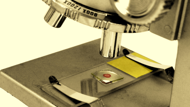 DWI Accusations Vs. Scientific Evidence