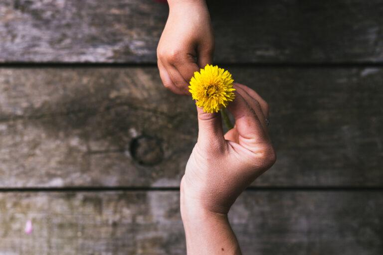 Kindness Is a Gift