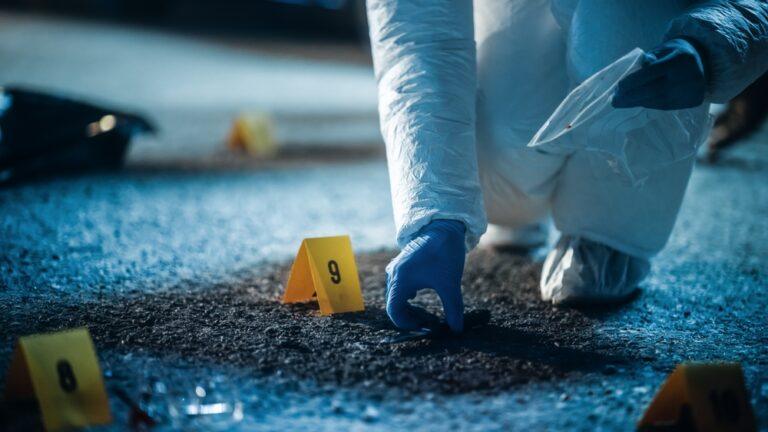 When Does Fraud Become Organized Crime?