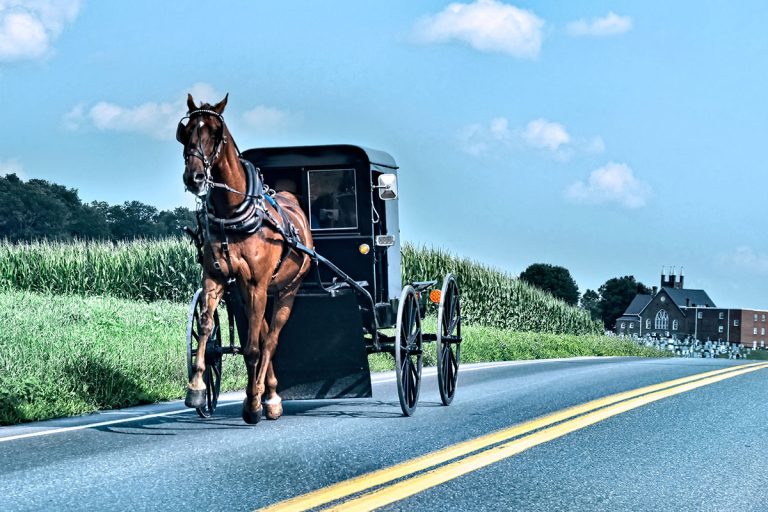 Can Horse and Buggy Riders Face Open Container Charges?