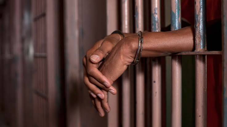 Woman Jailed for Altered Registration Sticker