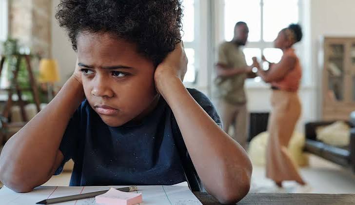 Burden of Proof in Domestic Violence Cases
