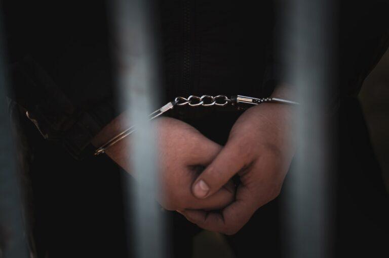 Galveston Man Arrested for Palm Tree Fires