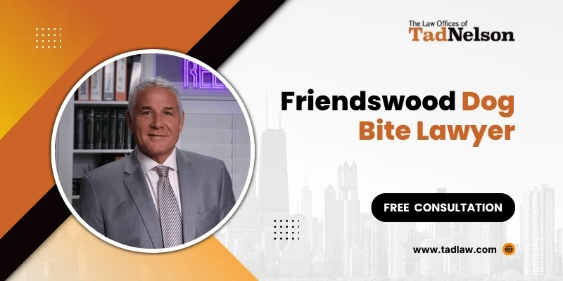 best friendswood dog bite lawyer