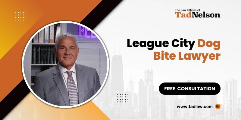 best league city dog bite lawyer