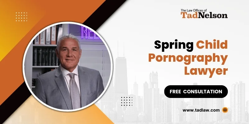 best spring child pornography lawyer