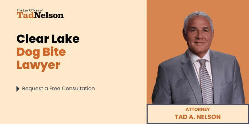 best clear lake dog bite lawyer