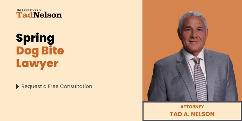 best spring dog bite lawyer