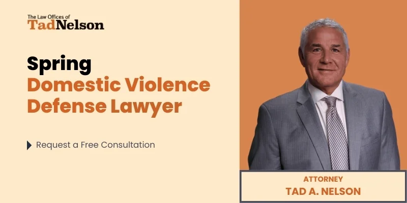 best spring domestic violence defense lawyer