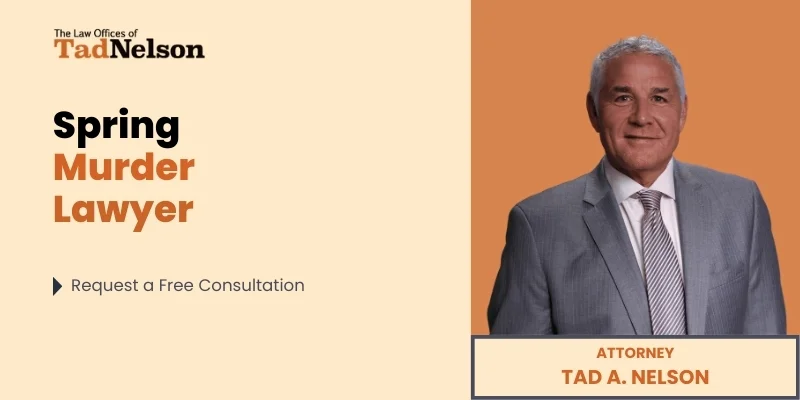 best spring murder lawyer