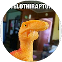 Colleen Franks profile picture