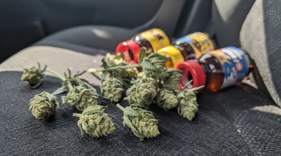 hemp laws and traffic stops